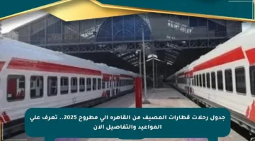 جدول رحلات قطارات المصيف من القاهرة إلى مطروح 2025.. تعرف على المواعيد والتفاصيل الآن
